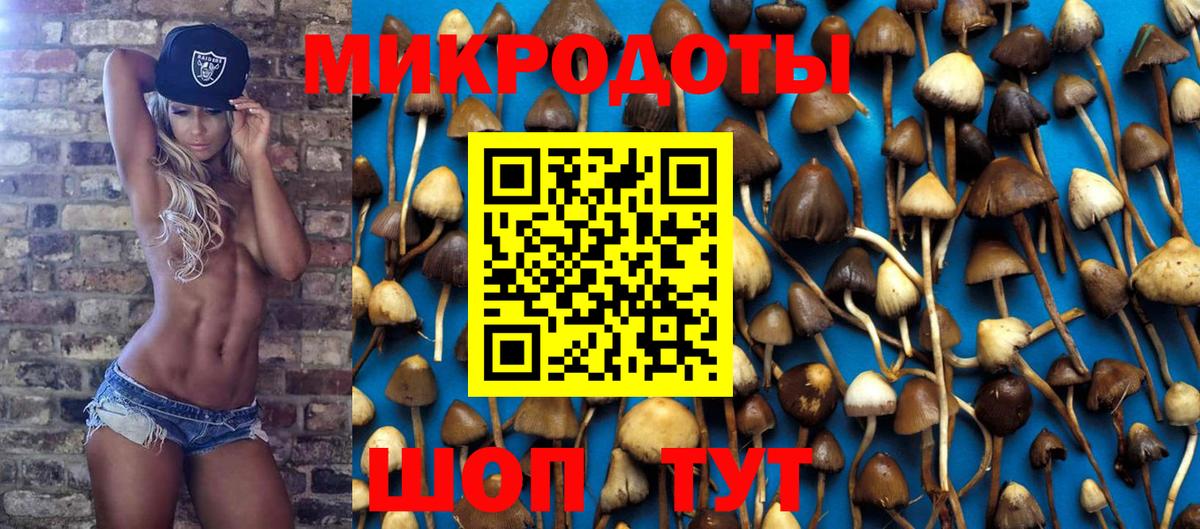 Галлюциногенные грибы Cubensis  Псилоцибиновые грибы Psilocybe  Вход с VPN  Гусь-Хрустальный 